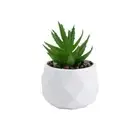 Artificial Potted Plant Succulent W/ Pot Small Faux Decor R7L8 Fake Cacti R4K7