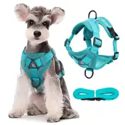 Dog Harness Leash Set Adjustable Pet Harness Vest For Small Large Dog Cat-Blue