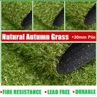 Artificial Grass Synthetic Turf Fake Lawn 30mm Pile Autumn grass -10SQM/Roll