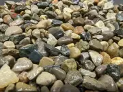 Natural Pea Gravel Pebbles Aquarium Substrate / 1 lbs. (BUY 2 GET 1 FREE)
