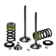 Intake Valve and Spring kit Fits: 2009-2020 Yamaha XT250-Dual Sport