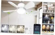 Socket Fan Light with Remote & APP Control, 1500 Lumens Ceiling Fans with White