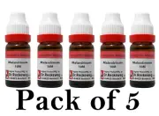 5X Dr Reckeweg Malandrinum 10M CH Dilution 11ml Each