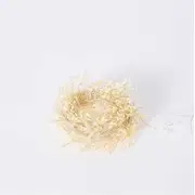 E Style Luminous Firecracker 10m String Light Indoor/Outdoor Lighting Silver