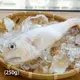 (即期良品68折)【魚寶貝】南方澳野生白馬頭魚(250g/尾) 效期至2024.8.13