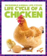 在飛比找博客來優惠-Life Cycle of a Chicken