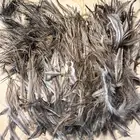 500 Australian Mixed EMU Body Feathers, MILLINERY, FLY FISHING, MILLINERY, CRAFT