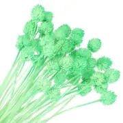 30 Pcs 16 Inch Dried Flowers for Vase Mini Pine Ball Flowers Green(Stem)