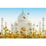 Save 20.01%! Full Day Agra Taj Mahal , Agra Fort & Baby Taj From Delhi