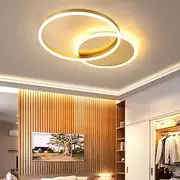 LED Ceiling Light Living Room Lights Metal Dimmable with Remote Control Ring Design Lamp Acrylic Ceiling Hanging Lamp Bedroom Study Room Children's Room Eye Protection Chandelier, Gold, 2 Rings