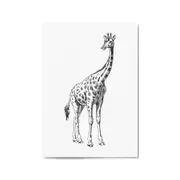 Detailed Giraffe Drawing Safari Animal Wall Art #2
