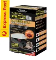The Big Cheese Ultra Power Mouse Kill BAIT STATION, Bait Included - EXPRESS POST
