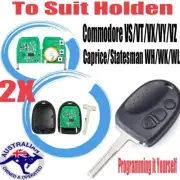 2XComplete Remote Key Fob To Suit Holden Commodore VS/VT/VX/VY/VZ 304Mhz 3Button