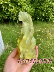 2.2LB Natural Citrine Skull Quartz Carved Crystal Reiki Tiger Skull Healing Gem