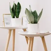 Breathable Plant Container Planter Decorations Flower Pot Windowsill Decoration