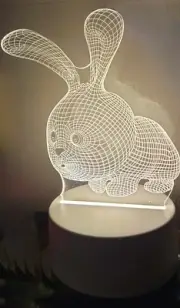 3D Lamp Bunny 3D Illusion lamp (can be night light)