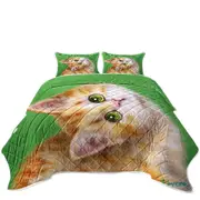 Cute Kittens Drawings Ginger Tabby Kitty Cat Coverlet