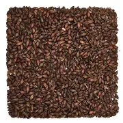 Home Brew Ohio Roasted Barley Grain 1lb