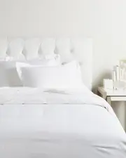 Superior Blend Solid 600 Thread Count Cotton Rich Duvet Cover Set