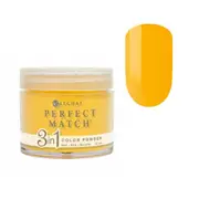 Perfect Match SNS Gelish Dip Dipping Powder Nail PMDP064 Golden Boy-Friend 42g