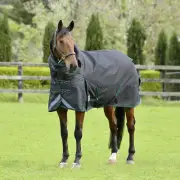 WeatherBeeta ComFITec Plus Dynamic II Detach-a-Neck Turnout Blanket, Medium, Gre