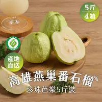 在飛比找momo購物網優惠-【匯通果菜合作社】高雄燕巢番石榴5斤x4箱(約6~8顆/箱_