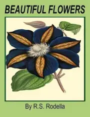 Beautiful Flowers: Coffee Table Book by R.S. Rodella (English) Paperback Book