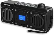 Avantree Boombyte - Portable FM Radio & Bluetooth Speaker with Dual Drivers (14W), High Volume Stereo Sound, Micro SD Card Slot, and USB Port Audio Input, 17 Hours Rechargeable MP3 Playe (Black)