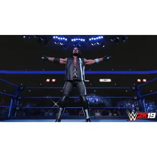 【PS4】【PS5】WWE 2K19 -專業存檔修改 替換 Cyber Save Wizard WWE 2K19 修改