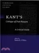 Kant's Critique of Pure Reason ― A Critical Guide