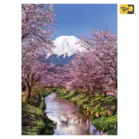 在飛比找momo購物網優惠-【雷諾瓦】櫻花與富士山/日本/方形盒/500片拼圖/Clem