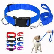 Plain Nylon Dog Collar and Lead set for Cat Puppy Small Dogs Yorkshire Beagle