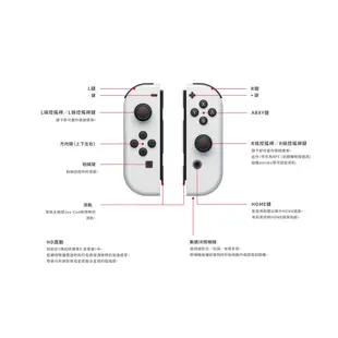 任天堂 Switch 白 主機 (OLED版)+健身環大冒險 同捆組+一片軟體