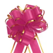 10pcs 4 Inch Large Big Pull Bows Gold Edge, Organza Car Gift Wrapping , Rose Red