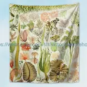 Adolphe Millot algues Botanical Algae Diagram Chart wall tapestry