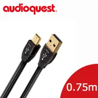 在飛比找PChome24h購物優惠-美國線聖 Audioquest USB-Digital Au