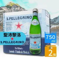 在飛比找PChome24h購物優惠-【S.Pellegrino 聖沛黎洛】天然氣泡礦泉水x2箱(