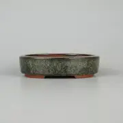 Japanese bonsai pot TOKONAME YOZAN Oval shape W15cm H3.8cm Namako Glazed