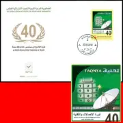 LIBYA 2010 Telecommunications Telecom Mobile Telephone GSM AlFateh #35 (FDC)