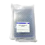 Qiagen™ 96 Rack Elution Microtubes CL - PCR Molecular Biology - LAB LABORATORY