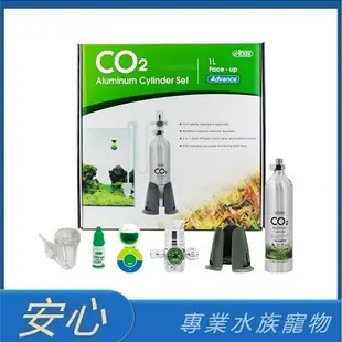 [安心水族] 免運 ISTA 伊士達 1L CO2鋁瓶全套組-進階型 CO2 鋁瓶 鋼瓶 電磁閥 IF-668