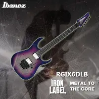 在飛比找露天拍賣優惠-進口Ibanez 依班娜 IRON LABEL鐵標 RGIX