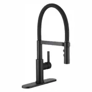 Statham Single-Handle Rubber Hose Spring Neck Pull-Down Sprayer Kitchen Faucet