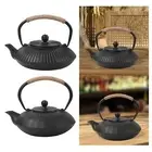 Cast Iron Teapot 800 ml Kungfu Tea Maker for Camping Home Small Gathering