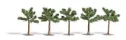 Busch 6618 A Scale Young Deciduous Trees with Support Poles -- 1" 5cm Tall (5)