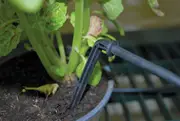 Maze Greenhouse Dripper Kit
