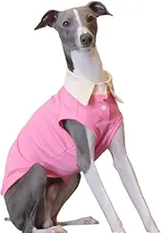 IUOUTG Greyhound Summer Cooling T-Shirt，Pet Breathable Sleeveless Polo Shirt, Whippet Dog Cool Solid Vest for Hot Weather Walking Hiking
