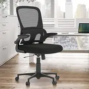 Advwin Ergonomic Office Chair - Mesh Office Chair with Flip-up Armrests, High Back Desk Chair Swivel Computer Chair, Height Adjustable & Rocking Study Chair Task Chair for Home Office Black