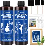 Cyanotype Kit - 17 OZ Cyanotype Solution Sensitizer Set for Sun Printing 8"x10"
