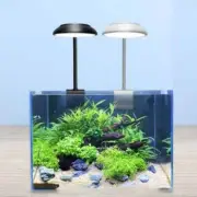 LED 5w Aquarium light Fish tank plant growth light Clip in the fish tank light